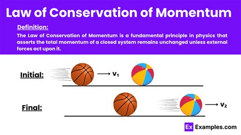 Law of Conservation of Momentum - Examples, Definition, FAQ'S