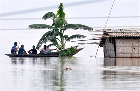 Assam Flood Affects Over 25 Lakh People Toll Now 84 Indiablooms