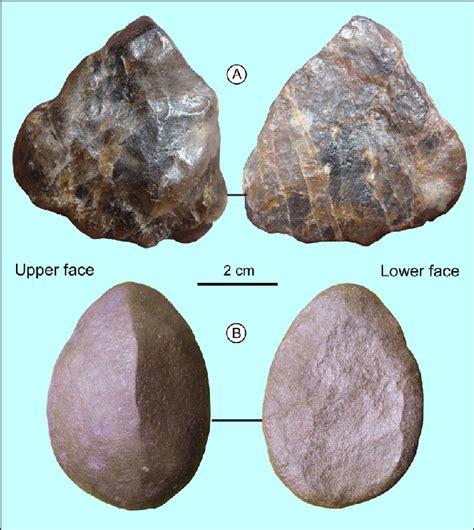 Ventifacts Showing A Clear Polarity Lower Triassic A Quartz From