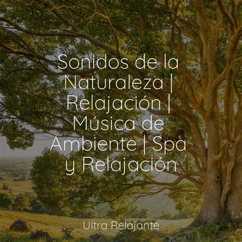 Sonidos De La Naturaleza Relajaci N M Sica De Ambiente Spa Y