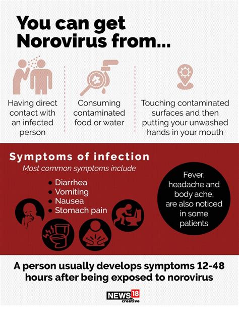 Norovirus Outbreak: All You Need to Know About its Symptoms, Prevention ...