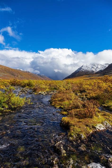 Grizzly Lake In Tombstone Territorial Park Yukon Canada Stock Image