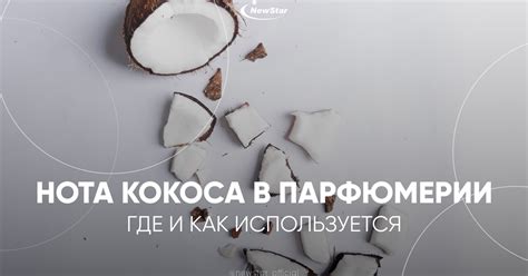 Нота кокоса в парфюмерии: где и как используется — Teletype