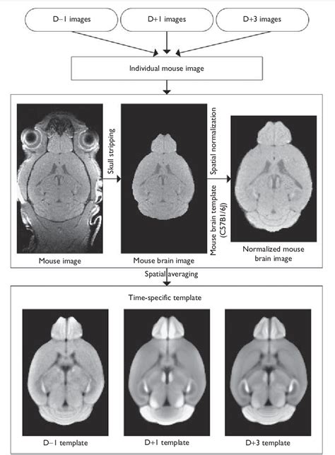 Figure 2 From Magnetic Resonance Imaging Of Amyloid Plaques Using