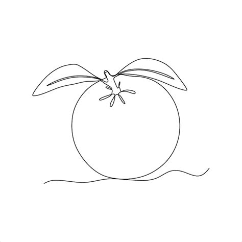 Premium Vector Continuous Line Drawing Of Orange Fruit