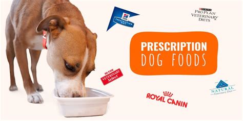 9 Best Prescription Dog Foods Plus Top 5 Vet Recommended Formulas