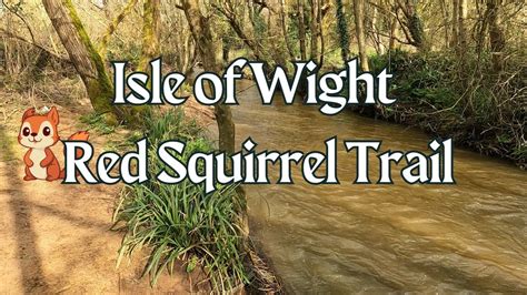 Walking The Red Squirrel Trail Isle Of Wight Cycle Track Youtube