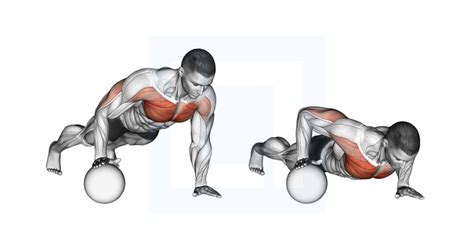 Push Up Medicine Ball Guide Benefits And Form