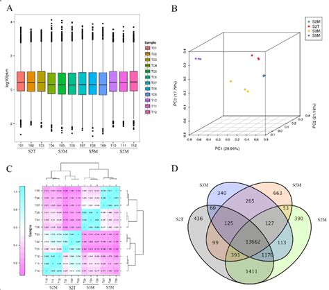 The Analysis Of The Expressed Genes A Boxplot Of The Gene Expression