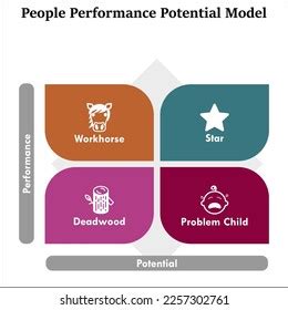 People Performance Potential Model Icons Matrix Stock Vector Royalty