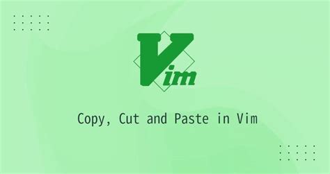 How To Copy Cut And Paste In Vim Vi Linuxize