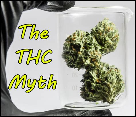 The THC Myth - How Cannabis Connoisseurs Will Choose Strains in the Future