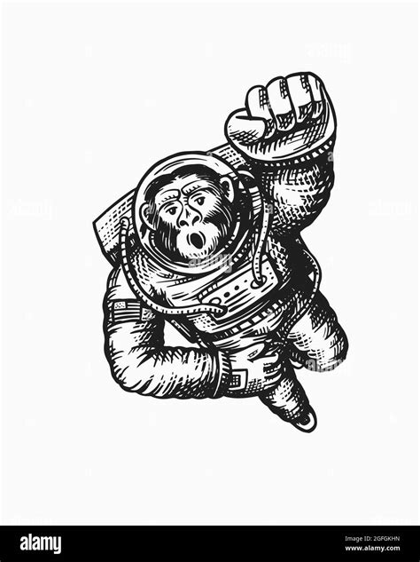 Silly Monkey Astronauts