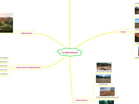 La Deforestaci N Mindmap