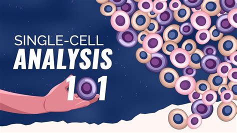 Single Cell Analysis Technology Networks