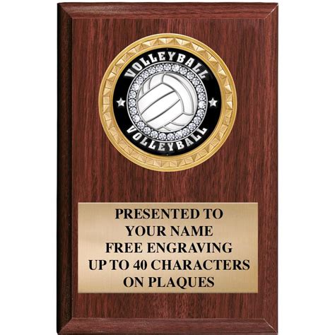 Volleyball Plaques Crown Awards