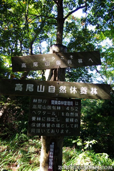 Hiking Mt. Takao as a Day Trip from Tokyo » Zooming Japan