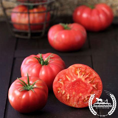 Brandywine Tomato - Vegetable Seeds - Sustainable Seed Co ...