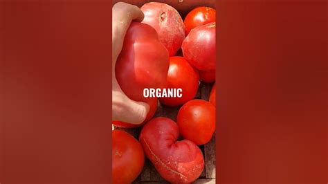 Organic Vs Non Organic Vegetables Youtube