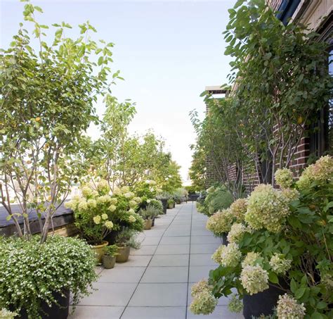 Roof Garden Plants