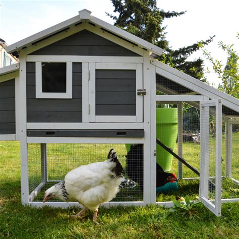 What Is A Playhouse Chicken Coop And Do You Need One Rural Mom