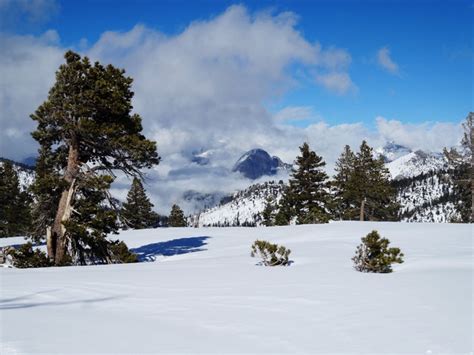 Olya On The Trail | Yosemite Winter Hikes: 6 Top Trails You Must Explore