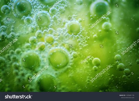 Archean Images, Stock Photos & Vectors | Shutterstock