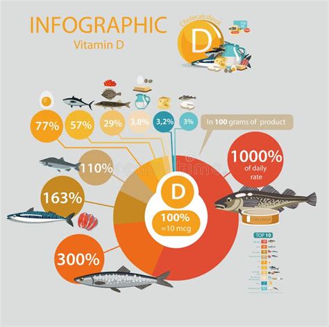 Vitamin D. a Pie Chart of Food with the Highest Content of a Microelement Stock Vector ...