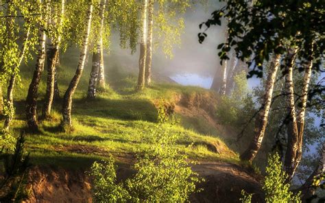 Пейзажи природы России фото Каталог Фото