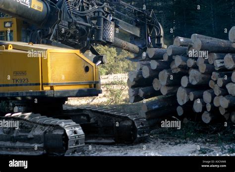 Logging industry Stock Photo - Alamy