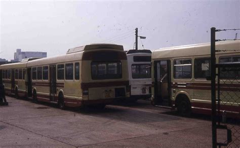 Red Rover Showbus Bus Image Gallery London Home Counties