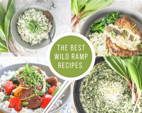 20+ Best Wild Ramps Recipes – Health Starts in the Kitchen