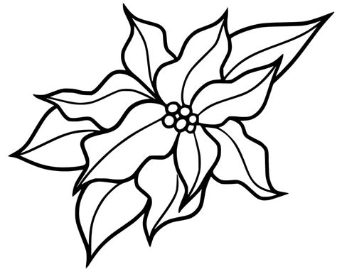 Christmas Flower Poinsettia Coloring Page Free Printable Coloring