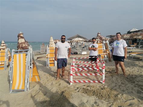 Nuova Nidificazione Di Caretta Caretta Nel Salento Tartaruga Depone Le