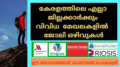 Kerala Job Interviews Freshers Experience 2 Any Degree AnyPG BTech