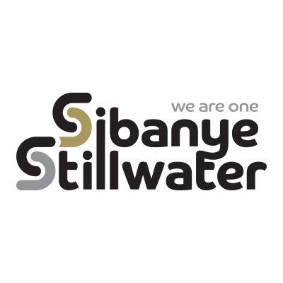 Organigramme Sibanye Stillwater The Official Board