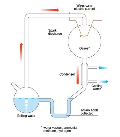 Science: Miller-Urey Experiment Diagram | Quizlet