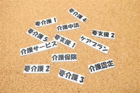 【早わかり表付き】要介護認定とは？要支援・要介護の違いと認定基準を解説 介護情報の国内最大級メディア ライフサポートナビ