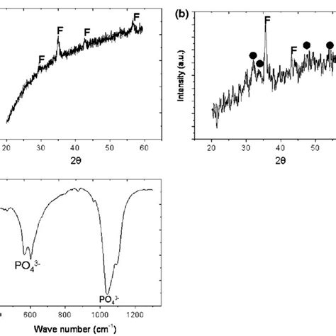 Ftir Spectra Of Pure Bsa Protein Left And Comparison Of Bsa Protein