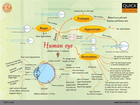 Human Eye Min Concept Map Concept Gcse Science