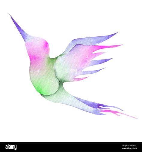 Purple Hummingbird Drawing