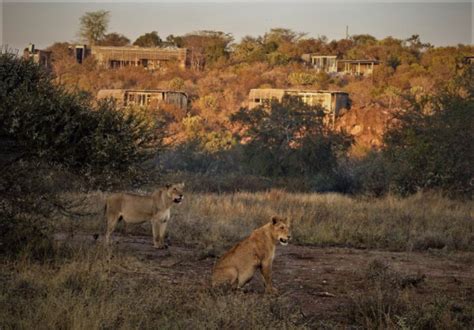 Singita Kruger National Park: June 2021 | Singita