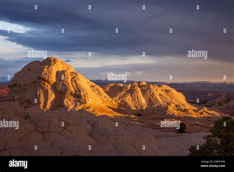 Golden Sunrise Light On Navajo Sandstone In The White Pocket Recreation