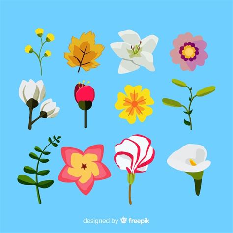 Set De Flores Y Hojas Dibujadas Vector Gratis