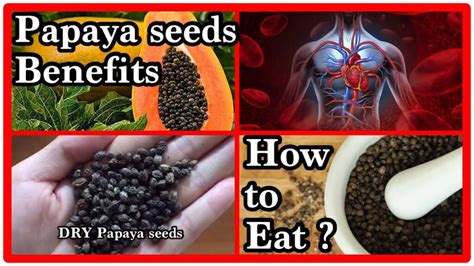 Benefits Of Papaya Seed Thedietmd