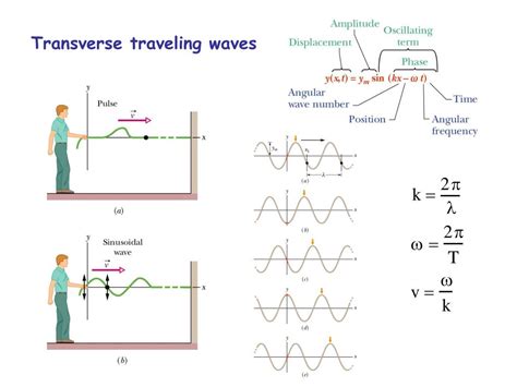 PPT - Traveling Waves & Wave Equation PowerPoint Presentation, free ...