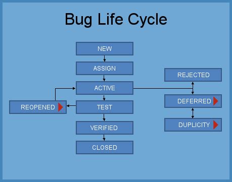 Bug Life Cycle :Stages,Template |Professionalqa.com