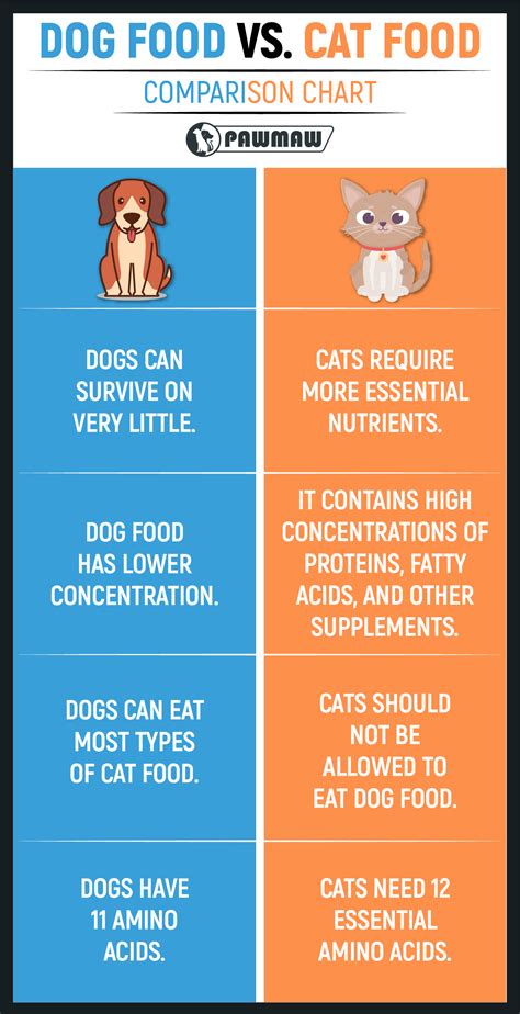 Dog Food Vs Cat Food: Which is the Best for Your Furry Friend? Top 10 ...