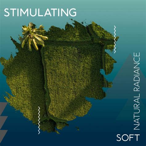 Zzz Stimulating Soft Natural Radiance Zzz Album By Soothing Nature