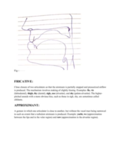 SOLUTION Manners Of Articulation In Phonetics And Phonology Studypool